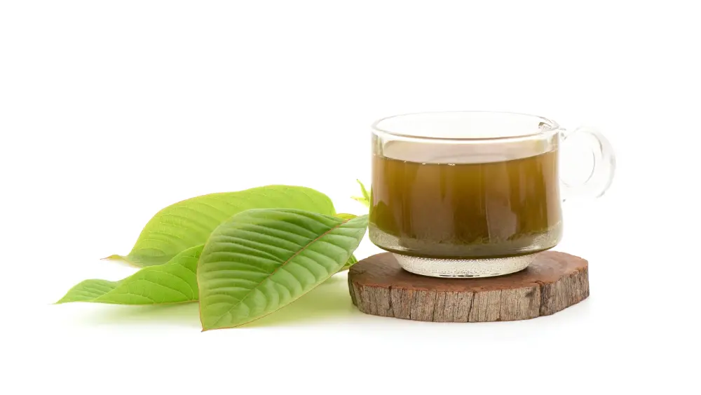 Preparazione del tè di kratom con polvere di kratom