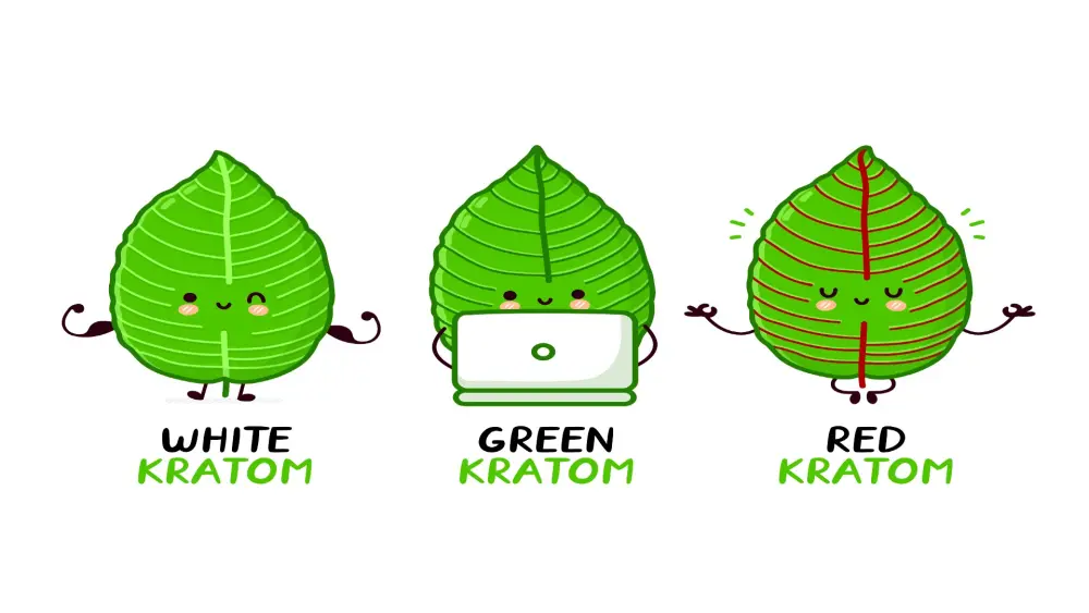 Diversi tipi di kratom: bianco, verde e rosso
