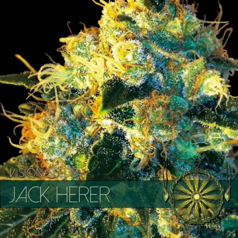 Jack Herer (Vision Seeds)