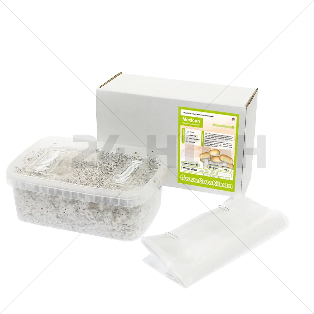 Kit di coltivazione messicano tutto in uno