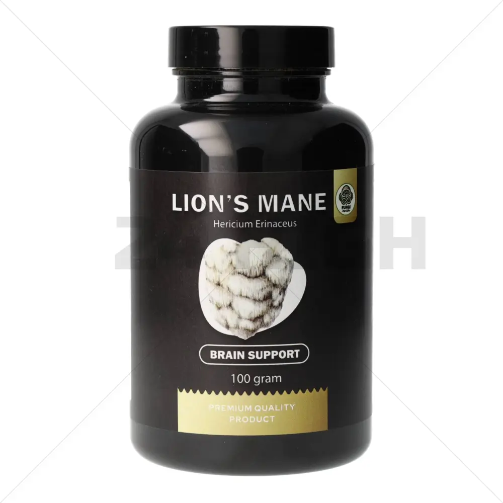 Criniera di Leone (Hericium Erinaceus) - Supporto cerebrale - 100 Grammi