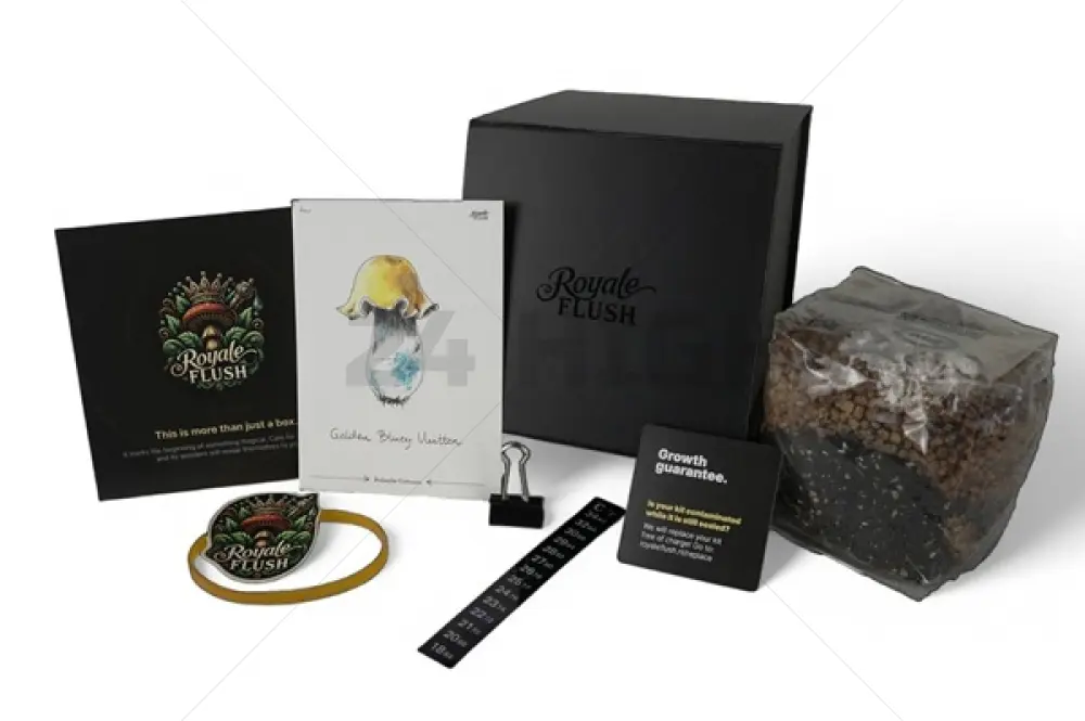 Kit di coltivazione Royale Flush Golden Bluey Vuitton