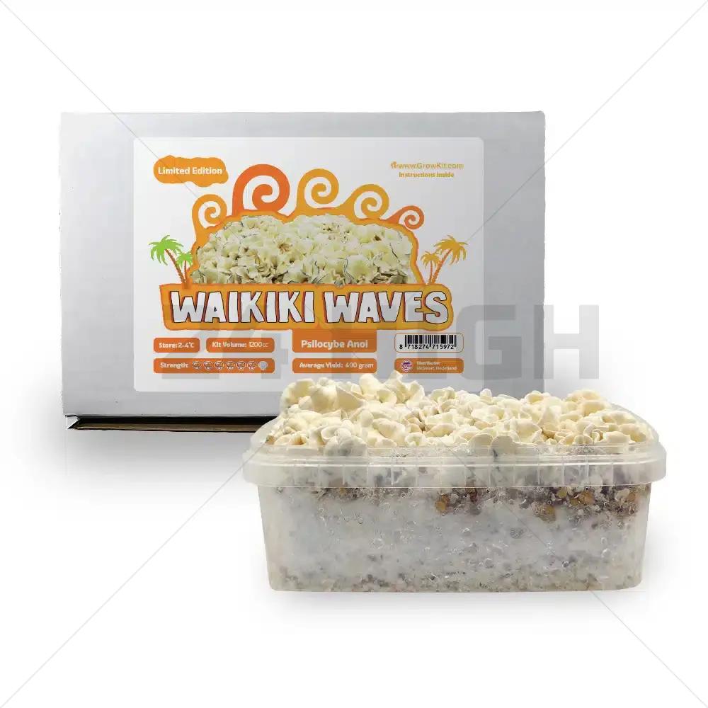 Waikiki Waves Kit di coltivazione