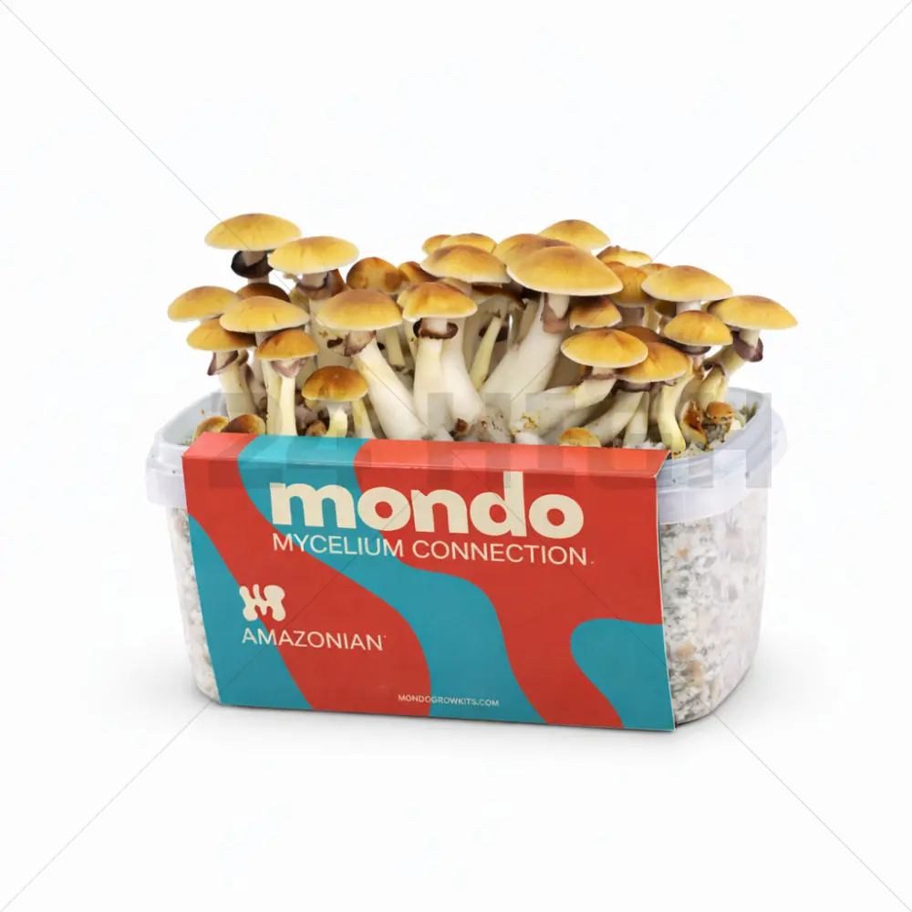 Kit di coltivazione Mondo Amazonian