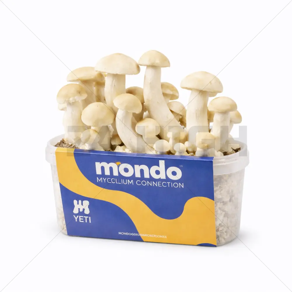 Kit di coltivazione Mondo Yeti Hybrid