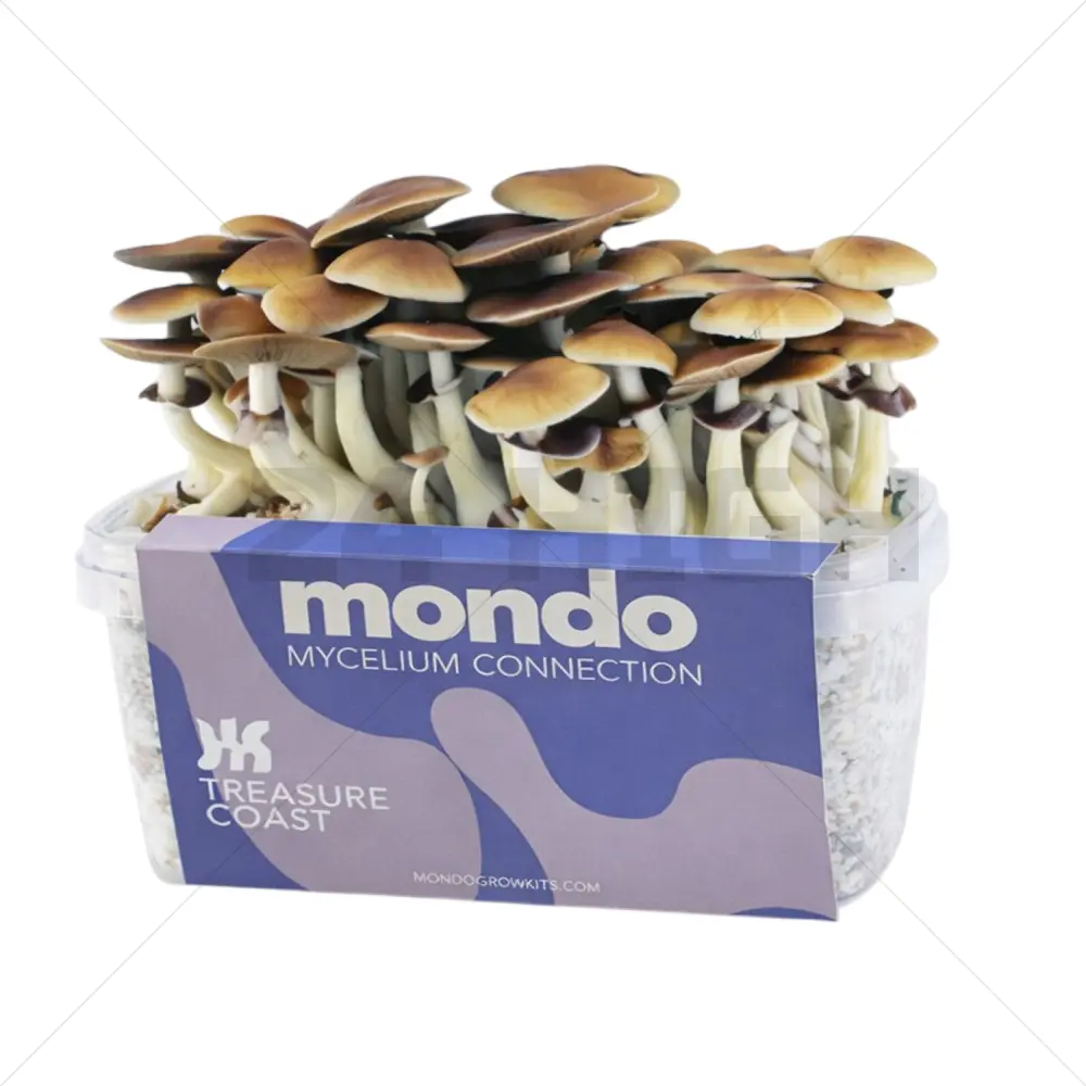 Mondo Grow Kit Costa del Tesoro 