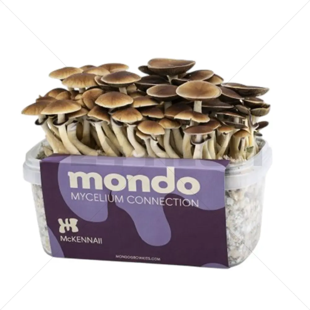 Kit di coltivazione Mondo McKennaii