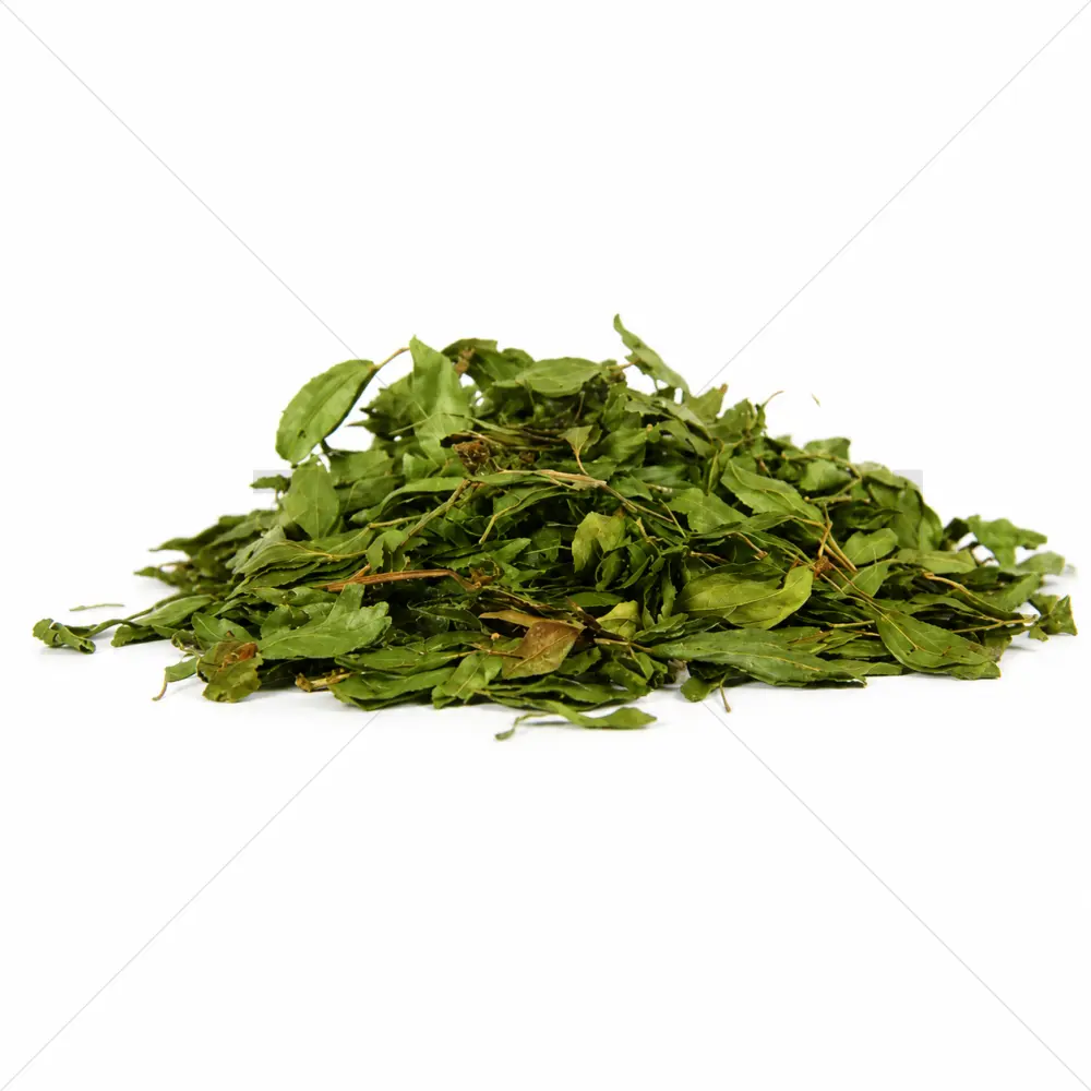 Bobinsana (Calliandra angustifolia) Foglie – 50 grammi