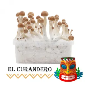 El Curandero