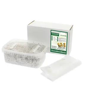 Kit di coltivazione cambogiano All in one 