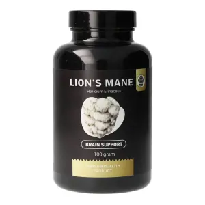 Criniera di Leone (Hericium Erinaceus) - Supporto cerebrale - 100 Grammi