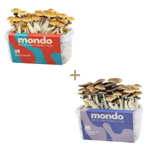 Kit di coltivazione Perfect pair (Coppia perfetta)