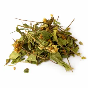 Dream Herbs (Calea zacatechichi) Tagliata – 50 grammi