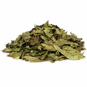 Chacruna (Psychotria viridis) Foglie – 50 grammi