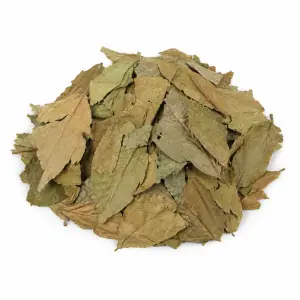 Chaliponga (Diplopterys cabrerana) – 50 grammi