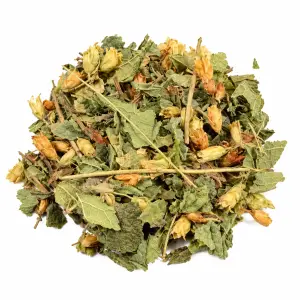Dream Herbs (Calea zacatechichi) Tagliata – 50 grammi