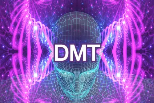 CHE COSA È LA DMT?