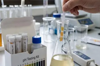 Perché il pH e l'EC sono fondamentali per la coltivazione della cannabis (misurazione e regolazione)